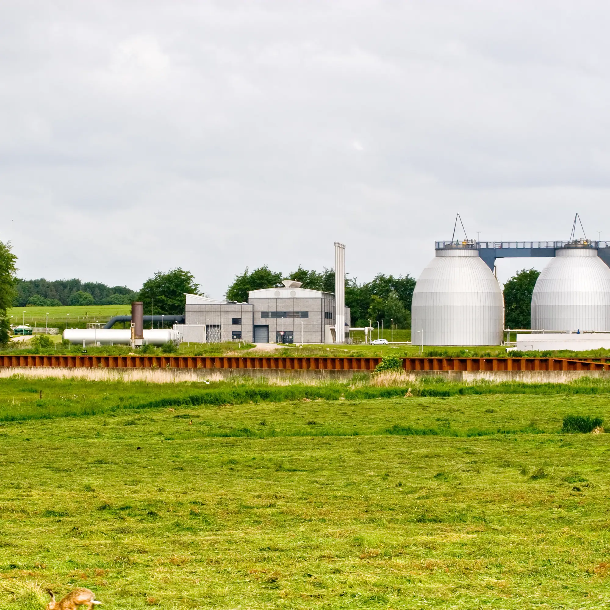 Agriculture Wastewater