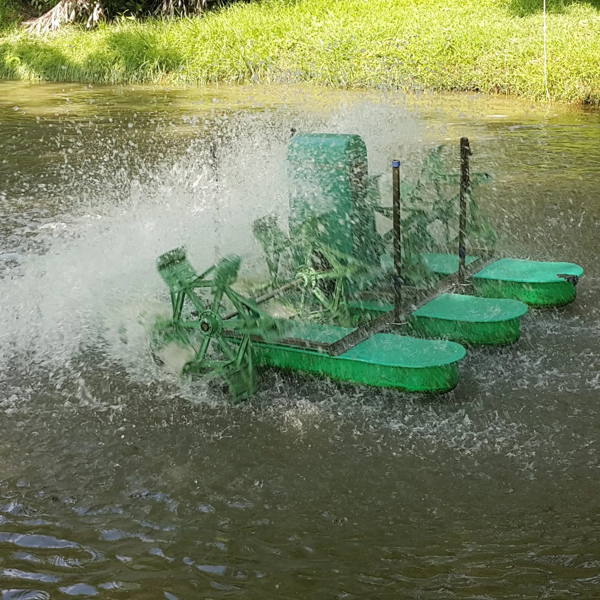 Aquaculture Wastewater