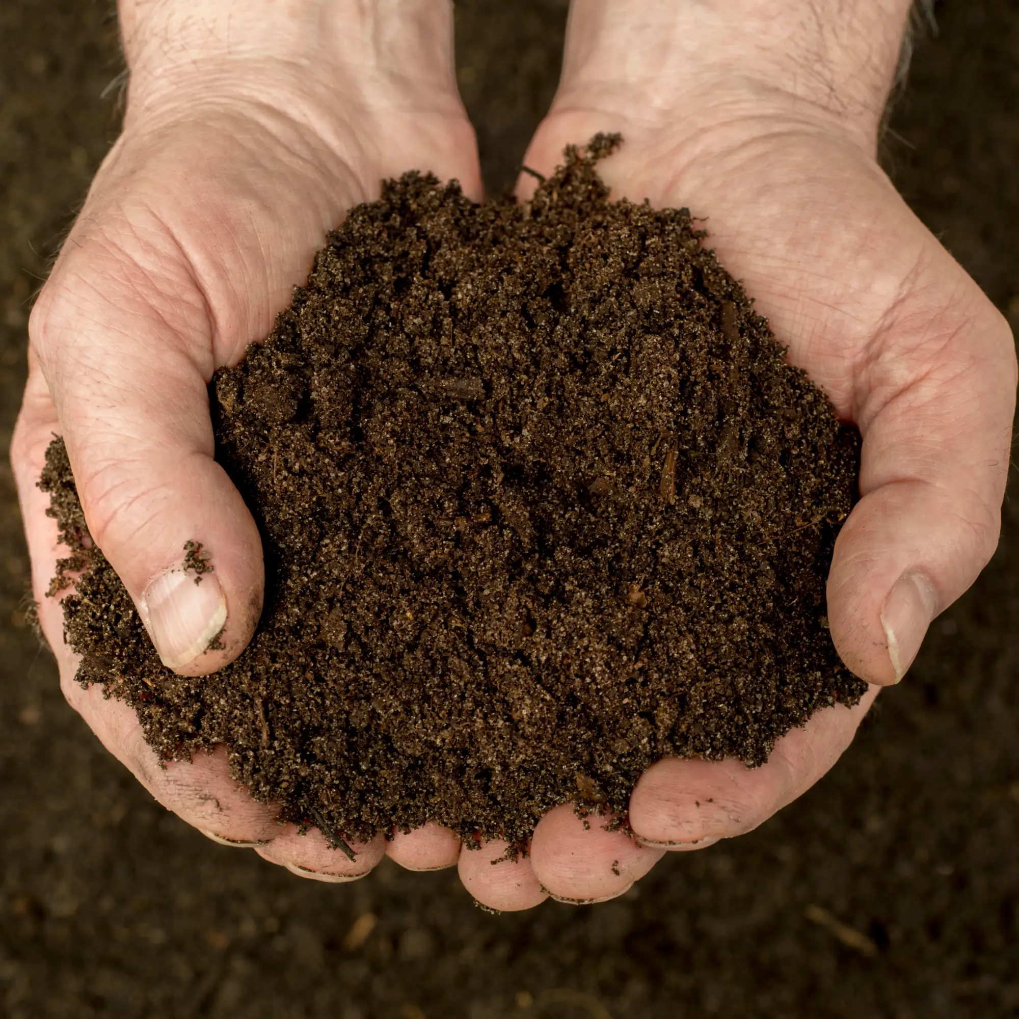 Organic Fertilizers